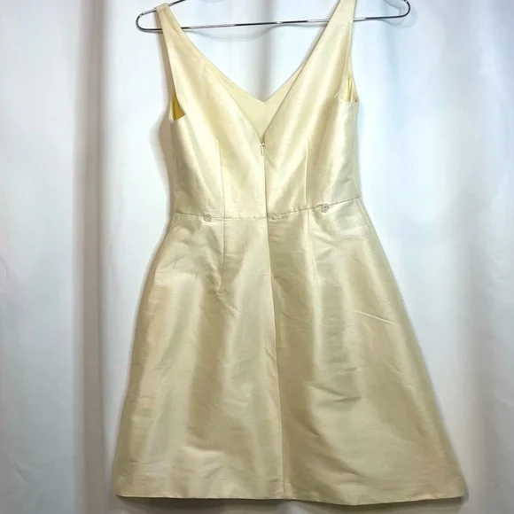 NWT Sachin & Babi Ivory Rosie Dress Sleeveless v-neck sz 2 Dresses